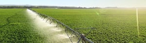 irrigation system