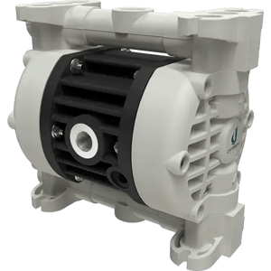 Boxer-35