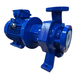 image00011-removebg-preview