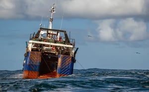 marine-crest-pumps