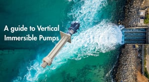 vertical immersible guide